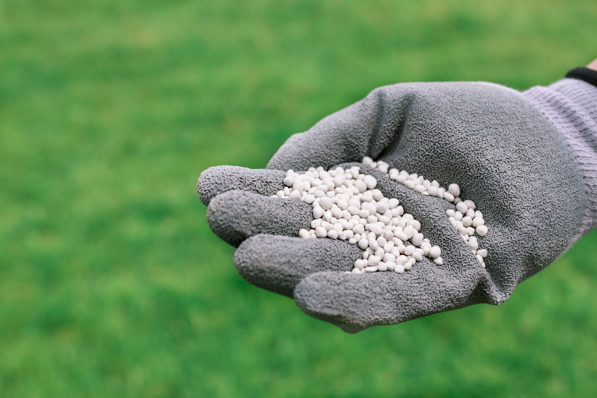 Close up farmer hand pouring chemical plant fertilizer with green background