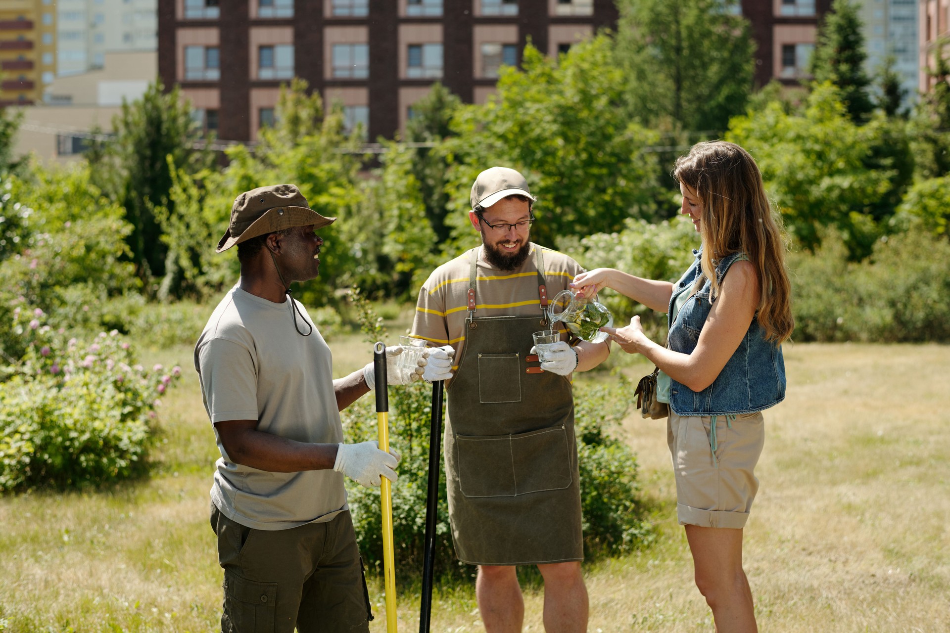 Multiethnic Young Adults Collaborating during Outdoor Community Gardening Project